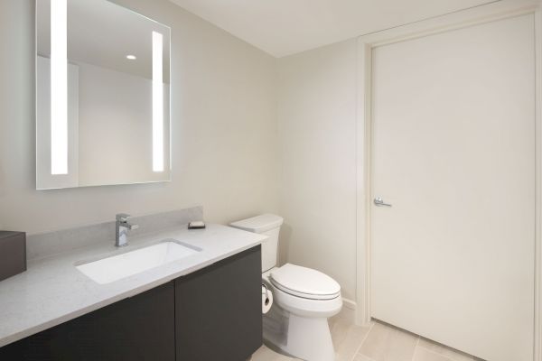 This image shows a modern bathroom with a sink, large mirror, and toilet. There is also a door on the right side of the room ending the sentence.