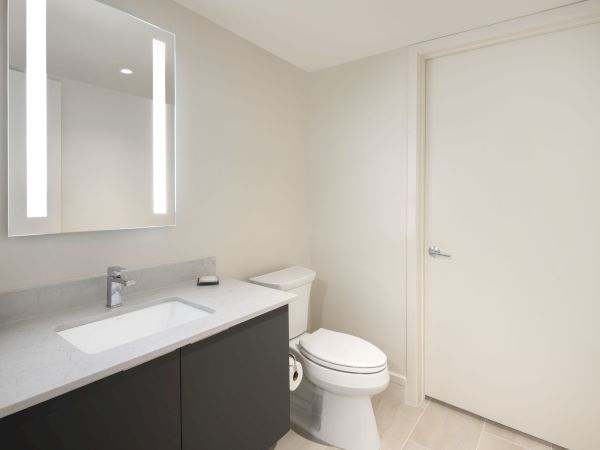 This image shows a modern bathroom with a sink, large mirror, and toilet. There is also a door on the right side of the room ending the sentence.