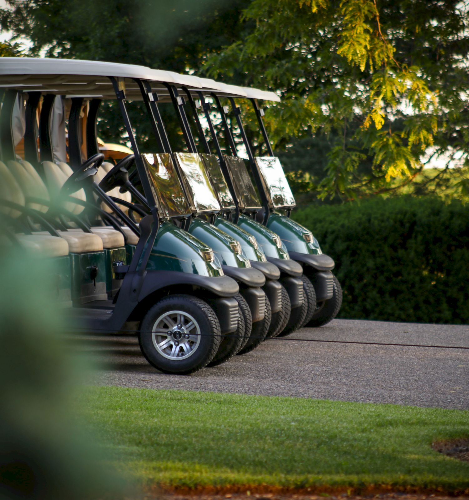 A row of golf carts is neatly parked on a paved path surrounded by greenery in what appears to be a golf course setting.