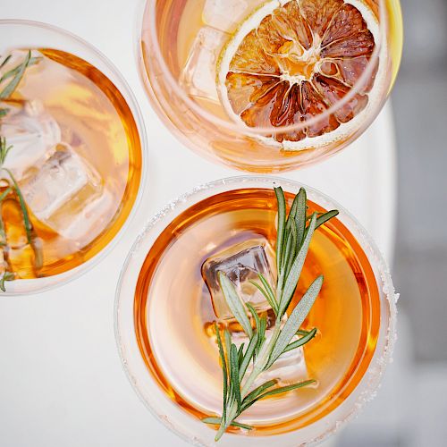 Three cocktails garnished with ice, citrus slices, and rosemary sprigs viewed from above.