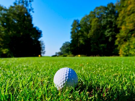 A golf ball is resting on a grassy field under a clear blue sky, surrounded by trees in the background.