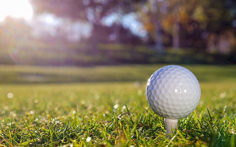 A close-up of a golf ball on a tee on a green grassy course, with sunlight filtering through trees in the background.