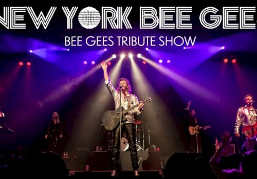 A stage performance poster: &ldquo;New York Bee Gee&rdquo; Bee Gees tribute show, with a guitarist-singer raising one arm under colorful lights.