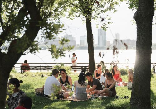 People gathered in a park, sitting on the grass, enjoying a sunny day with trees providing shade and water in the background, creating a pleasant scene.