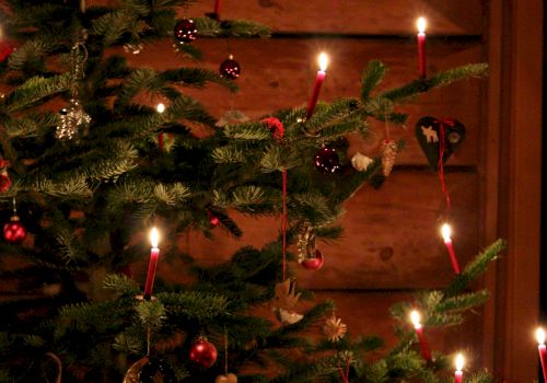 A warmly lit Christmas tree adorned with candles and ornaments against a wooden backdrop, creating a cozy holiday atmosphere.