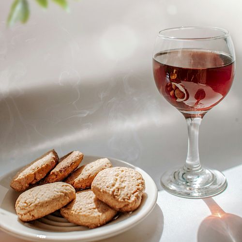 A plate of cookies and a glass of red wine are placed on a white surface, with a plant casting a shadow on the wall.