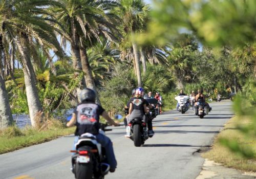 A group of motorcyclists rides along a scenic road lined with palm trees, surrounded by lush greenery and clear skies.