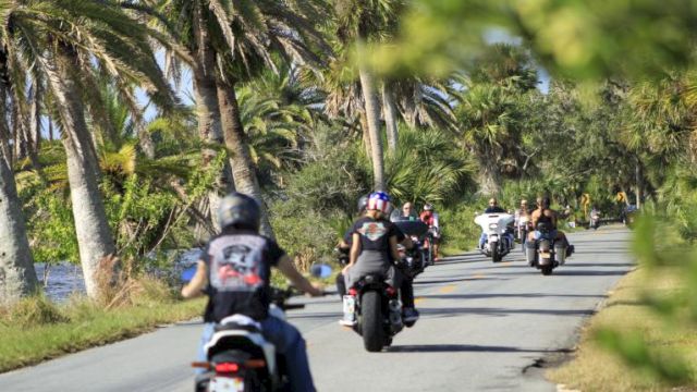 A group of motorcyclists rides along a scenic road lined with palm trees, surrounded by lush greenery and clear skies.