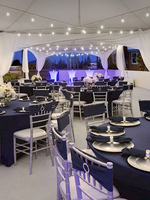 An elegant event setup under a white tent with round tables, navy decor, white flowers, and string lights creating a sophisticated ambiance.