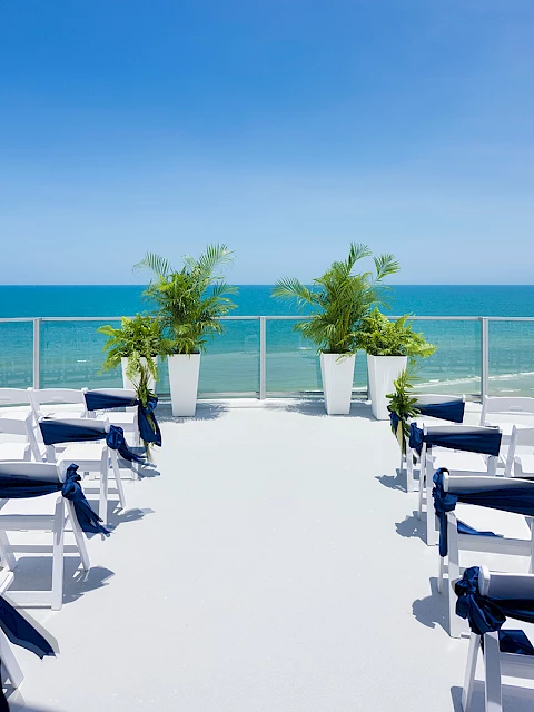 Outdoor wedding setup with white chairs and navy ribbons facing the ocean, under a clear sky, with two tall potted plants at the front.
