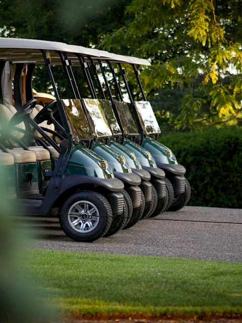 Several golf carts are parked in a row on a paved path, surrounded by lush greenery and trees.