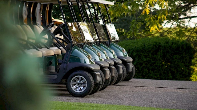 Several golf carts are parked in a row on a paved path, surrounded by lush greenery and trees.