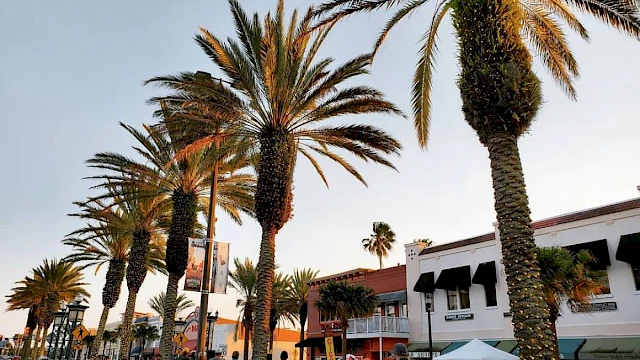 A lively street scene with palm trees, people walking, and outdoor activities under a clear sky, with buildings lining the street.
