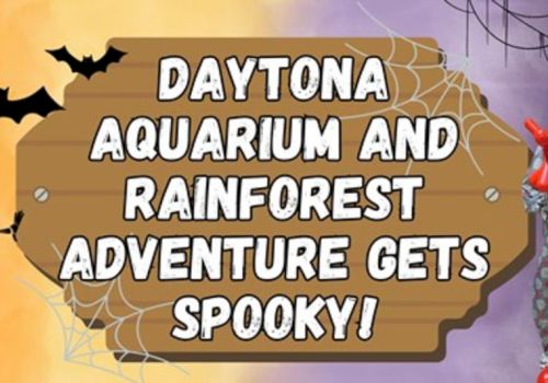 A wooden sign reads, "Daytona Aquarium and Rainforest Adventure gets spooky!" surrounded by bats and spider webs.