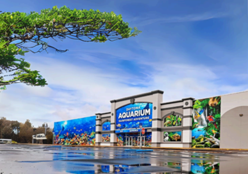 The image shows a building with colorful aquarium-themed murals and a sign reading "Aquarium," under a clear blue sky.