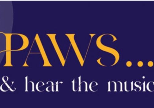 The image shows the text "PAWS... & hear the music" on a dark background.