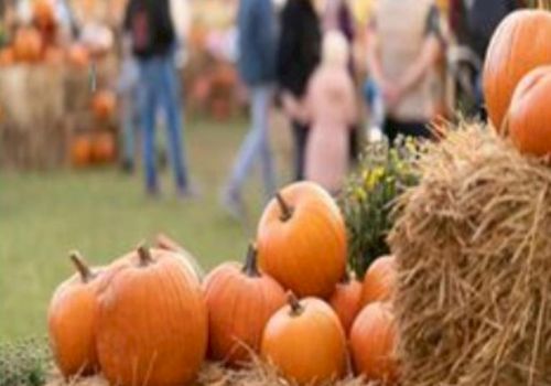 A festive scene with pumpkins on hay bales, blurred people and festive atmosphere in the background, suggesting an outdoor autumn event.