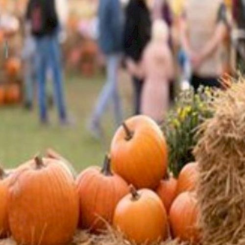A festive scene with pumpkins on hay bales, blurred people and festive atmosphere in the background, suggesting an outdoor autumn event.