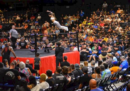 A wrestler in mid-air leap over the ropes while a packed arena watches the fight in an indoor wrestling ring.