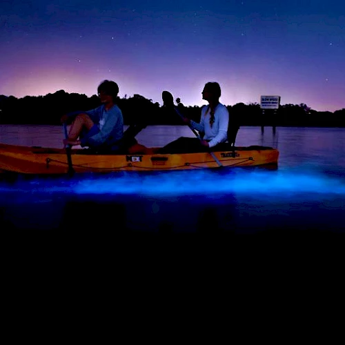 Two people in a canoe glow with eerie blue light on dark water, paddling at night under a starry, purple-tinged sky.