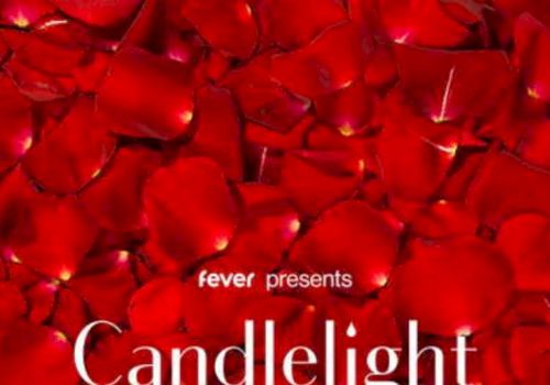 A red-toned backdrop of rose petals with white text reading &ldquo;fever presents Candlelight.&rdquo;