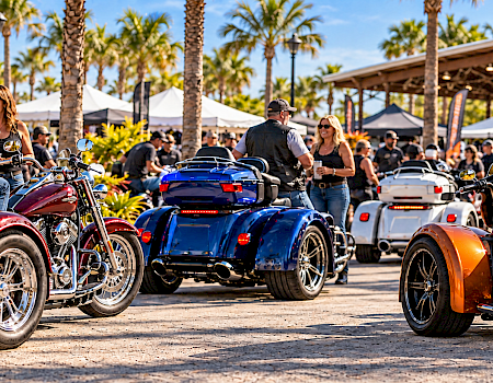 People chat and smile at a sunny motorcycle rally lined with colorful custom bikes under palm trees, enjoying the ride.